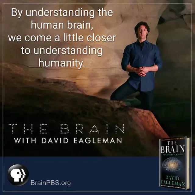 The "Brain Science God" behind "Westworld"