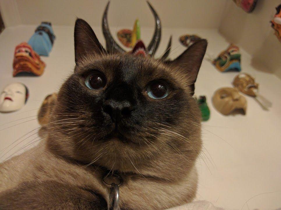 Google 最美女工程师眼中的机器学习 Google 最美女工程师眼中的机器学习