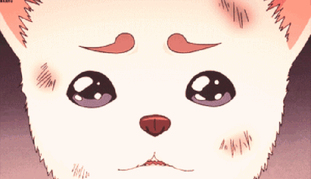 The reason behind AI's victory over humans in games is actually biology The reason behind AI's victory over humans in games is actually biology