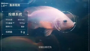特色图像