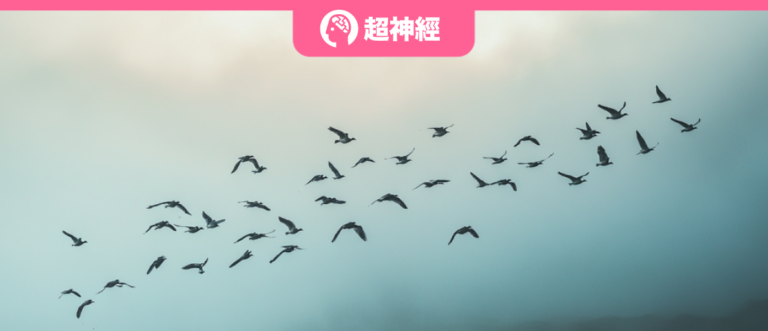 特色图像