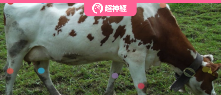 特色图像