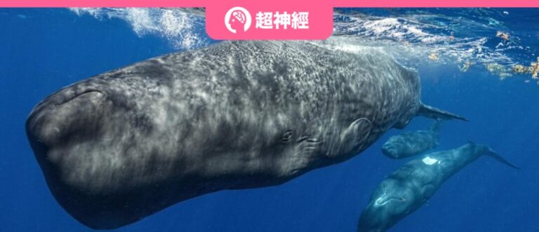 特色图像